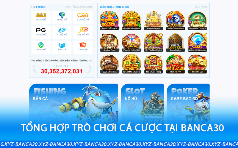 Tổng hợp trò chơi cá cược tại banca30